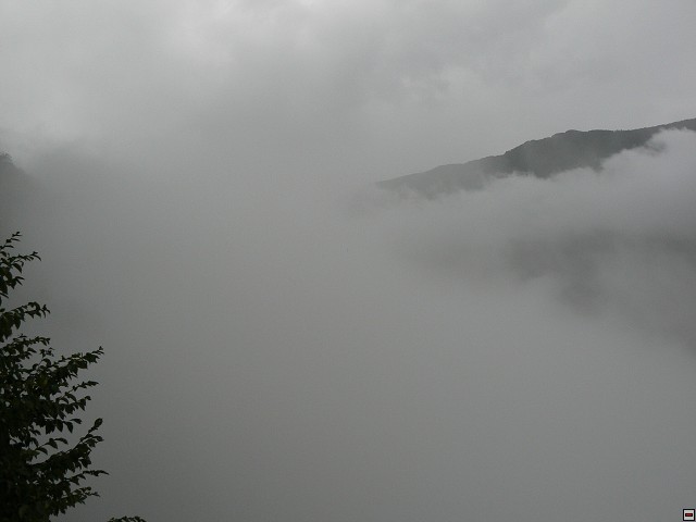 P1060209.jpg