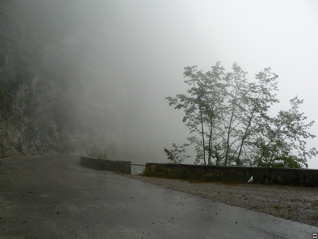 P1060210.jpg