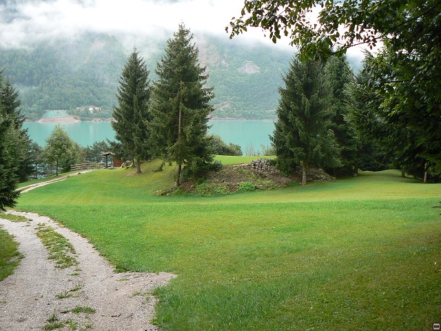 P1060217.jpg