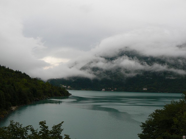 P1060220.jpg