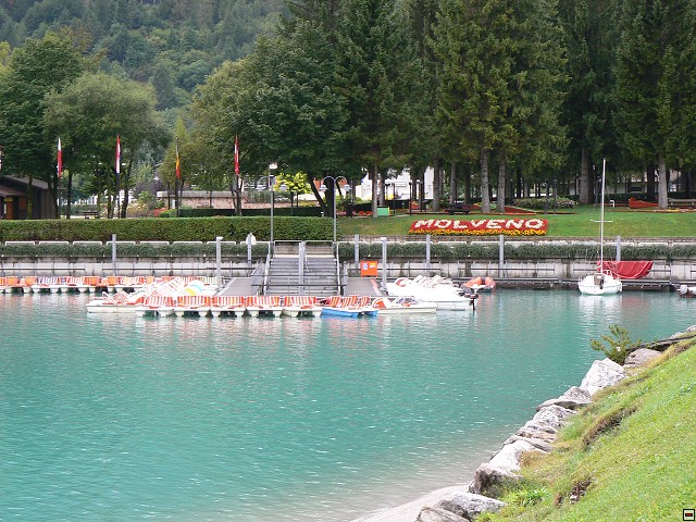P1060222.jpg