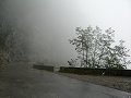 thn_P1060210.jpg