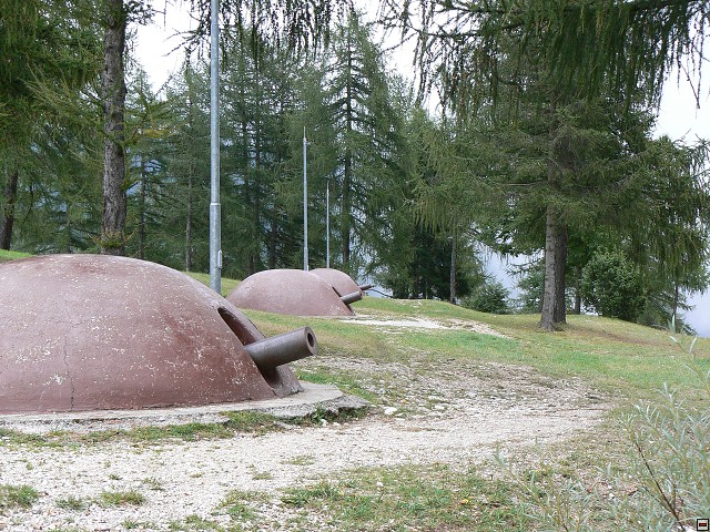 P1060241.jpg