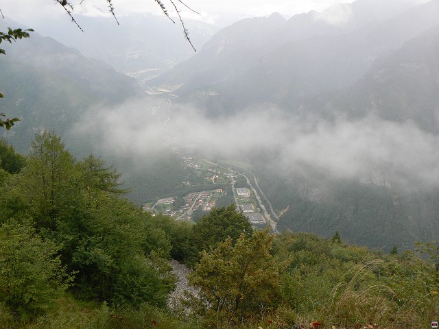 P1060246.jpg