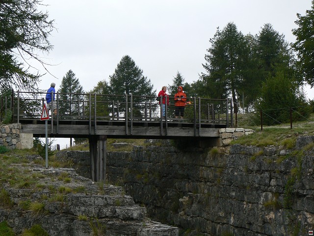 P1060249.jpg