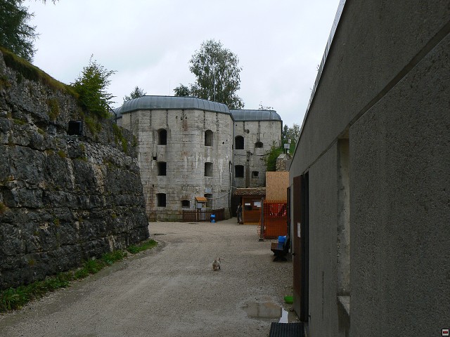 P1060259.jpg