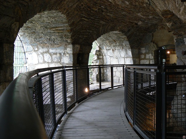 P1060296.jpg