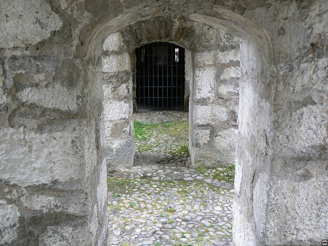 P1060313.jpg