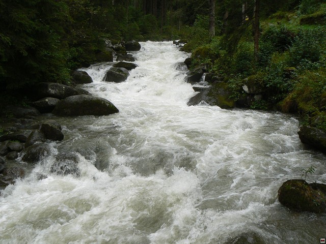 P1060318.jpg
