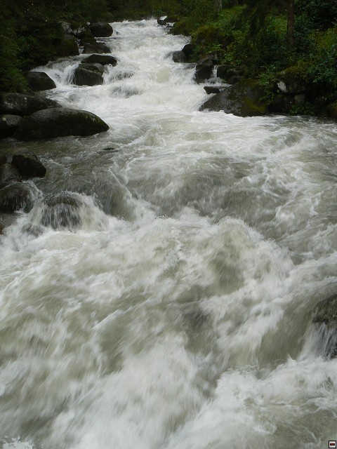 P1060320.jpg
