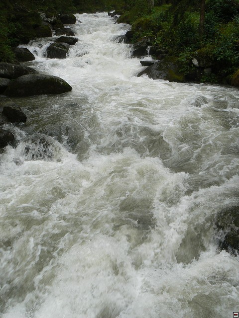 P1060321.jpg