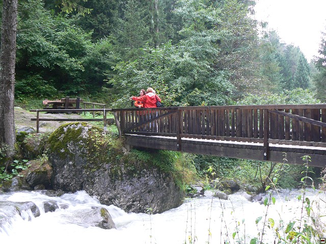 P1060323.jpg