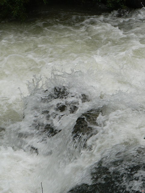 P1060328.jpg