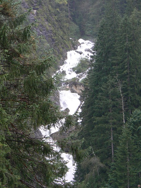 P1060333.jpg