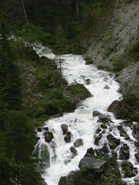 P1060335.jpg