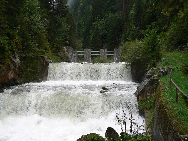 P1060339.jpg