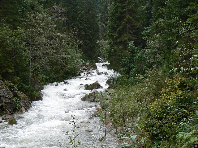 P1060340.jpg