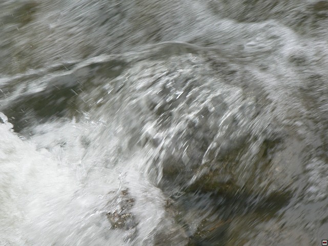 P1060344.jpg