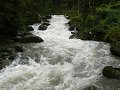 thn_P1060318.jpg