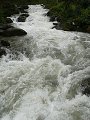 thn_P1060321.jpg