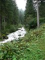 thn_P1060326.jpg