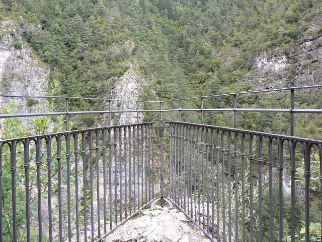 P1060381.jpg
