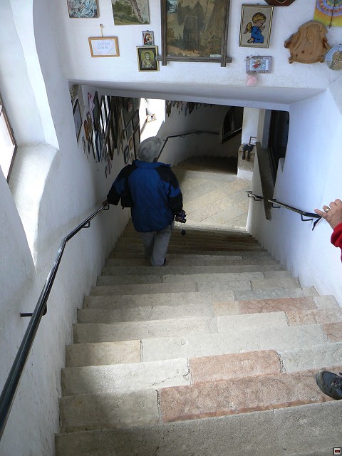 P1060384.jpg