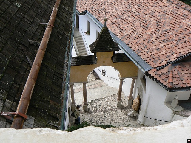 P1060386.jpg