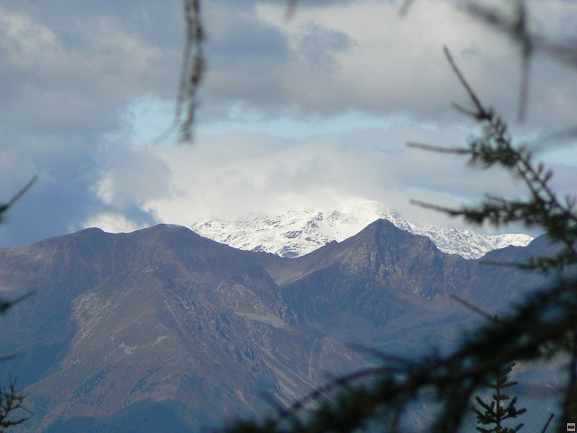 P1060409.jpg