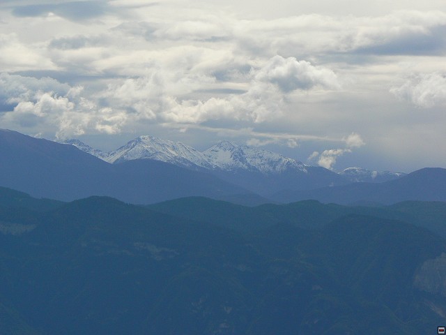 P1060412.jpg