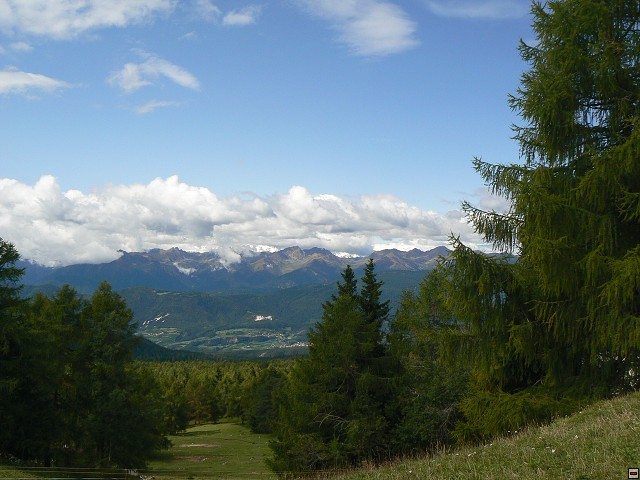 P1060421.jpg
