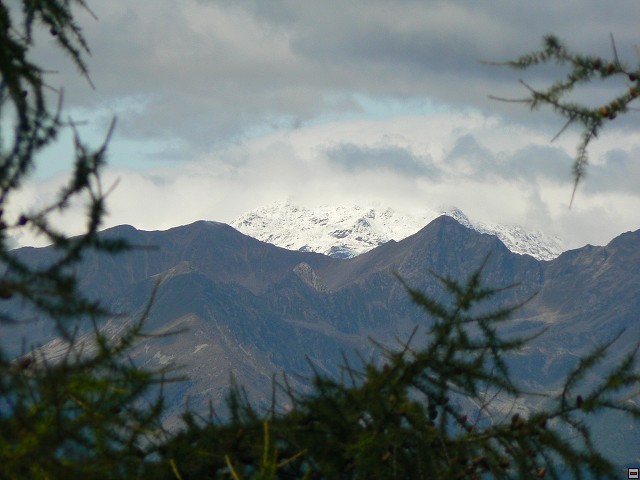 P1060423.jpg