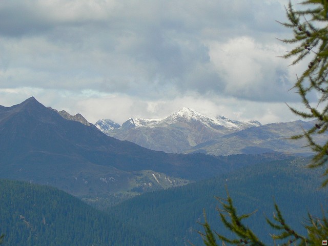 P1060424.jpg