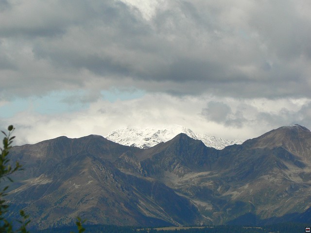 P1060425.jpg