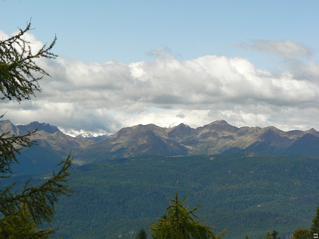 P1060427.jpg