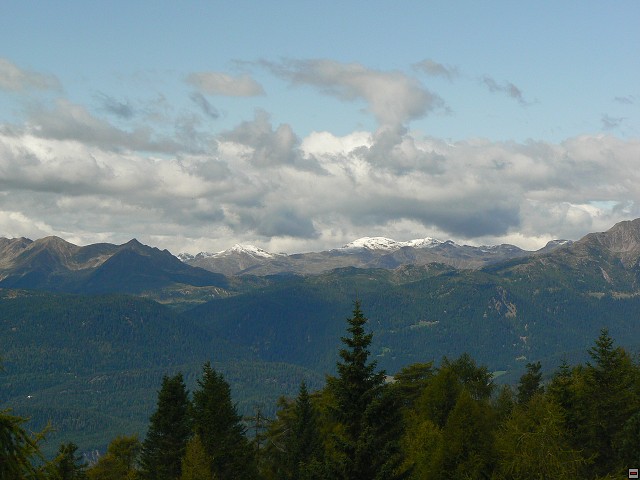 P1060428.jpg