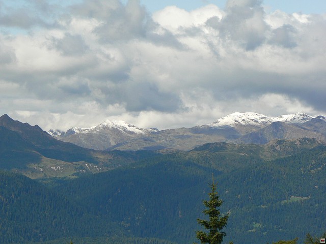 P1060429.jpg