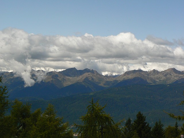 P1060431.jpg