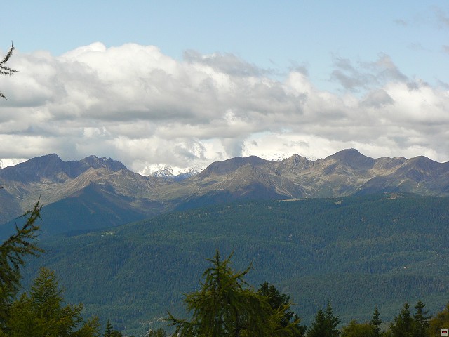 P1060433.jpg