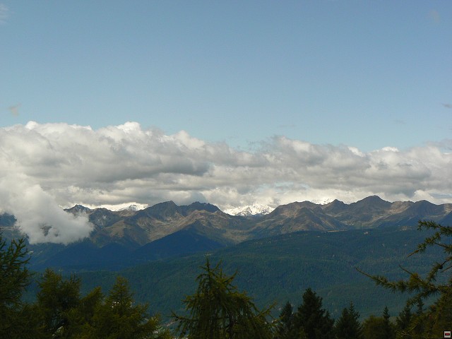 P1060435.jpg