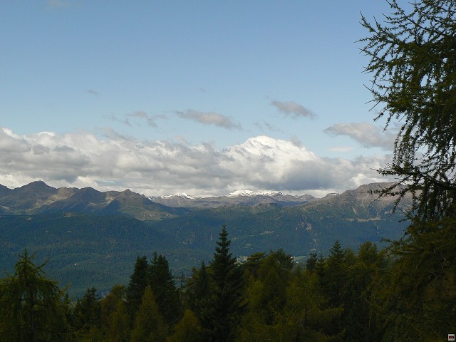 P1060436.jpg
