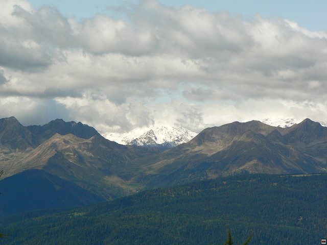 P1060437.jpg