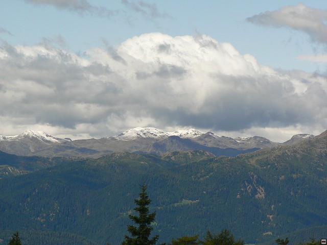 P1060438.jpg