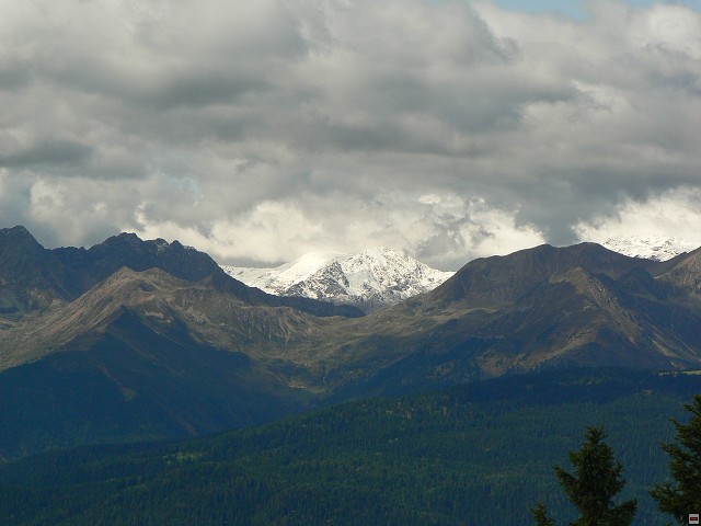 P1060442.jpg