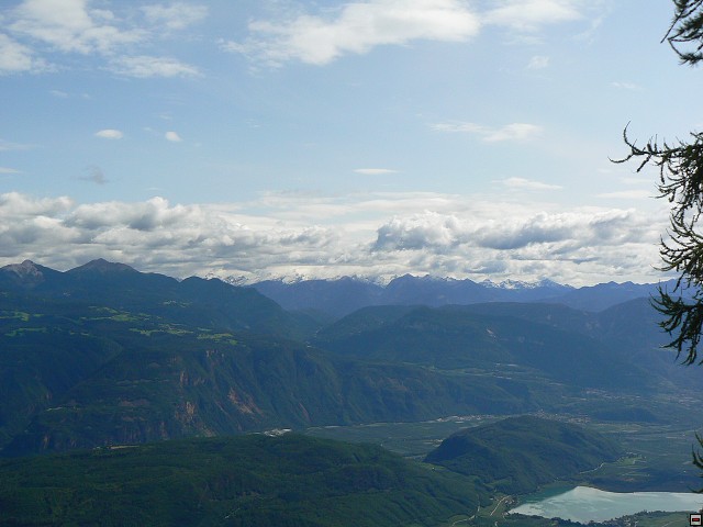 P1060444.jpg
