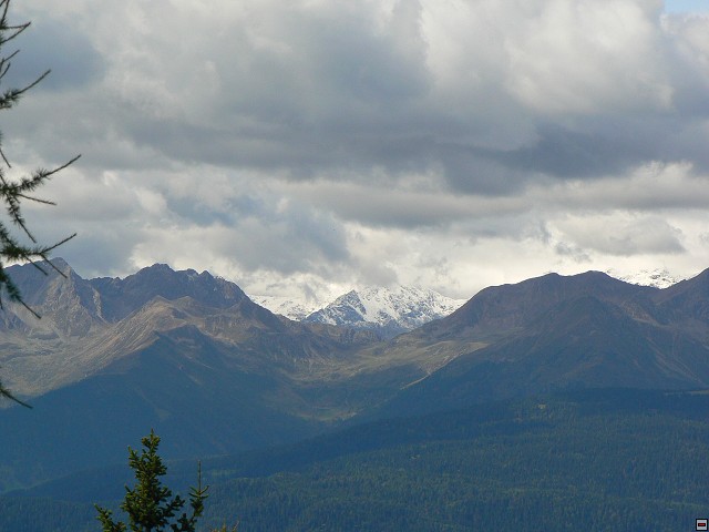 P1060446.jpg