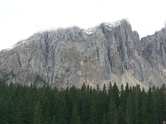 P1060464.jpg