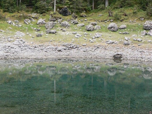 P1060469.jpg