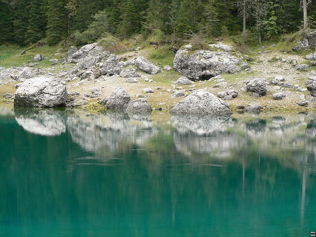 P1060471.jpg