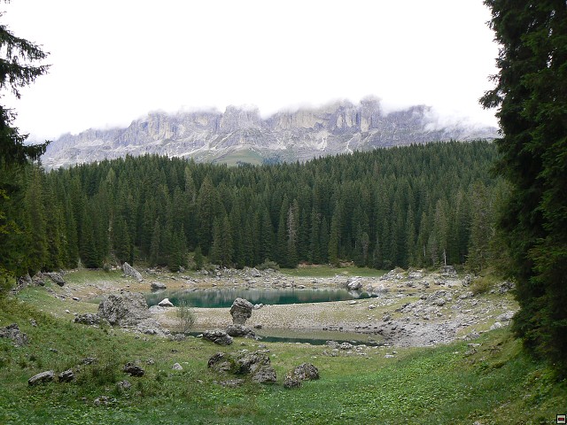 P1060474.jpg